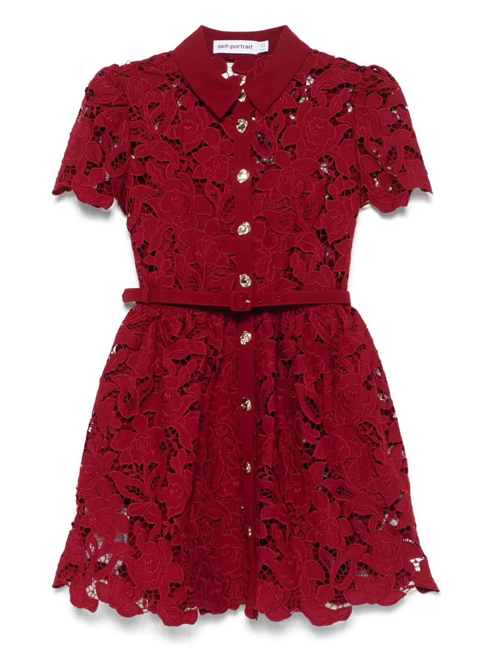 Self Portrait Floral Lace Mini Dress