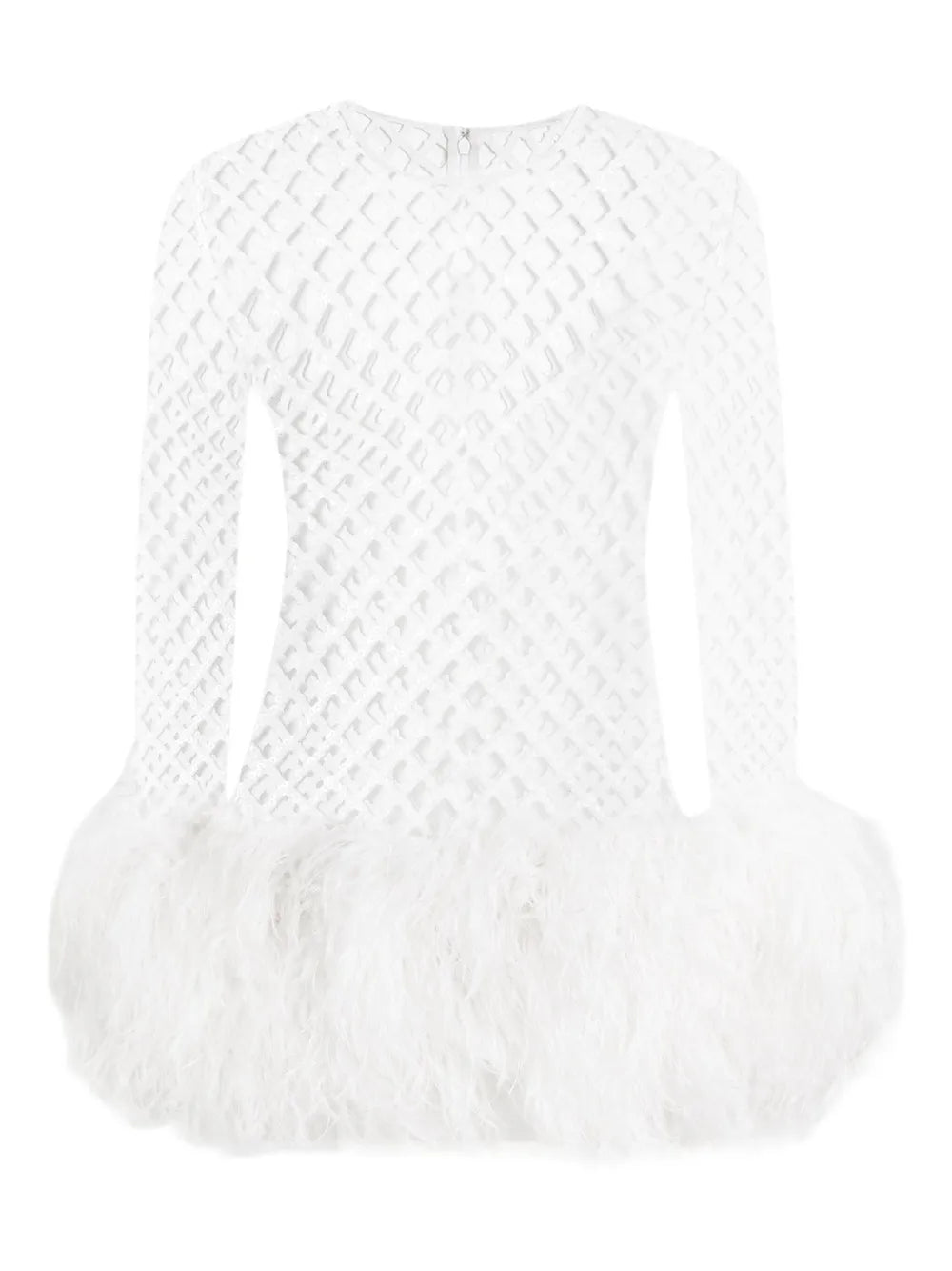 Dolce Gabbana Mesh Feather Trim Mini Dress