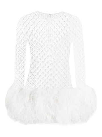 Dolce Gabbana Mesh Feather Trim Mini Dress
