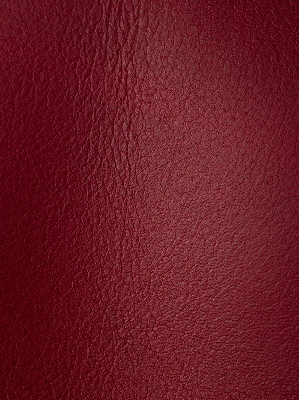 Prada Large Etude Shoulder Bag