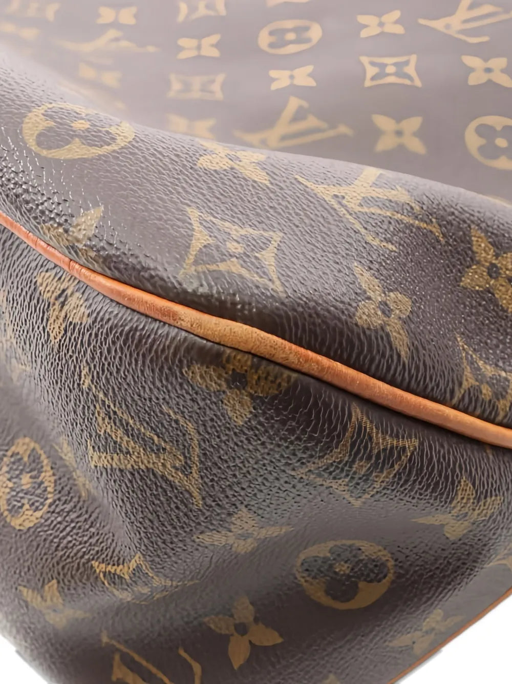 Louis Vuitton Pre Owned Delightful Mm Shoulder Bag