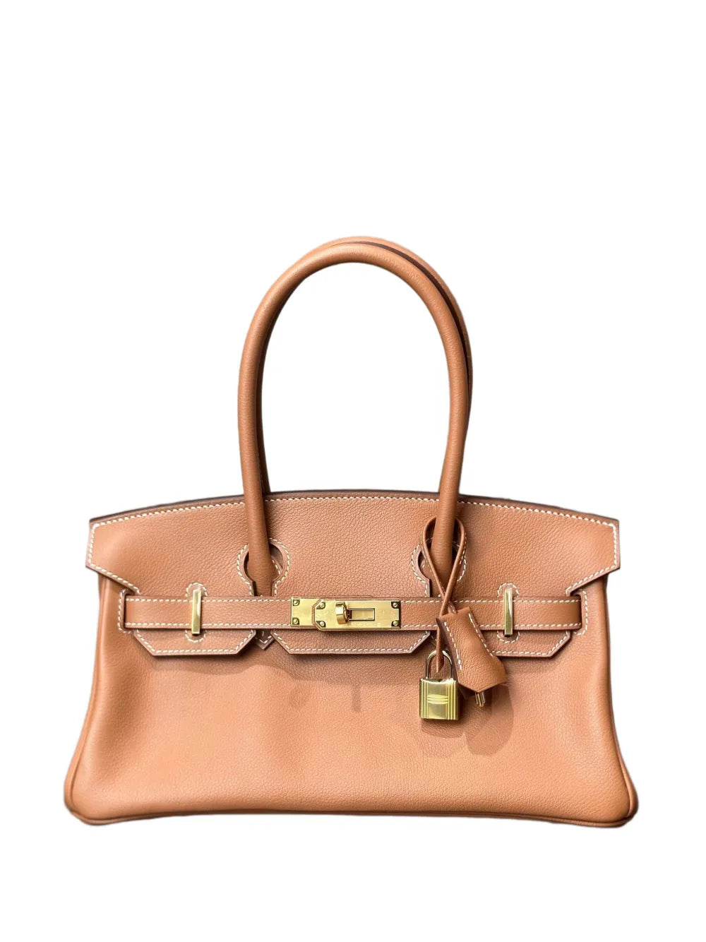Hermes Pre Owned 2025 Birkin 29 Evercolor Gold Hardware Tote Bag