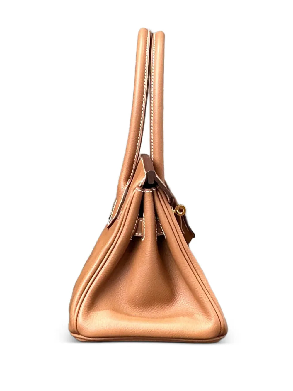 Hermes Pre Owned 2025 Birkin 29 Evercolor Gold Hardware Tote Bag