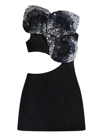 Area Embroidered Cut Out Mini Dress