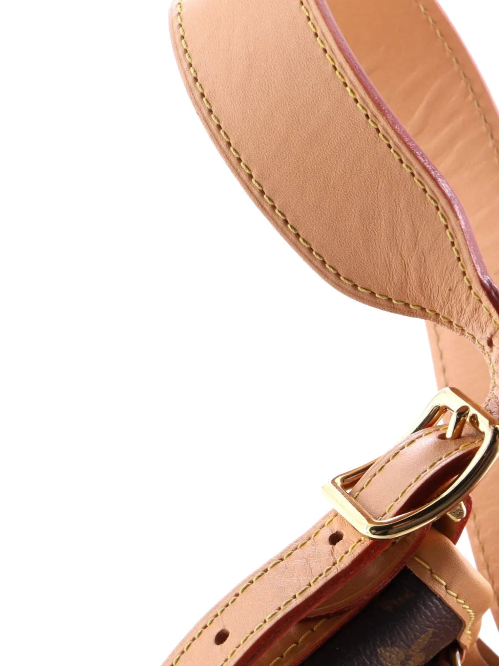 Louis Vuitton Pre Owned Carryall Monogram Canvas Pm Hobo Bag