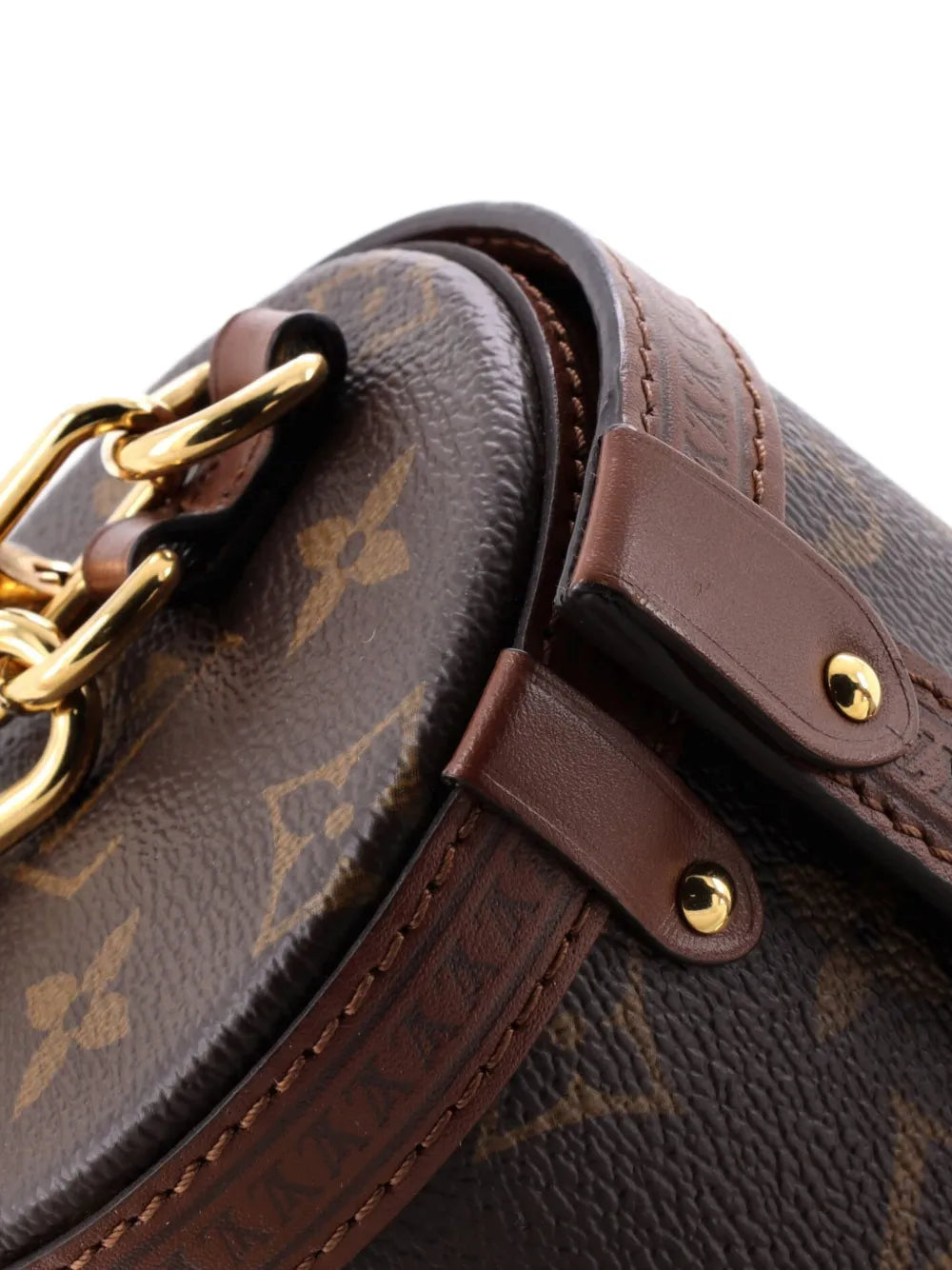 Louis Vuitton Pre Owned Papillon Trunk Bag Monogram Canvas Shoulder Bag