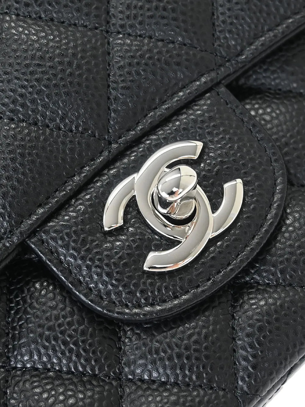 Chanel Pre Owned 2018 2019 Medium Classic Double Flap Shoulder Bag