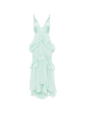 Maria Lucia Hohan Ruffled Maxi Dress