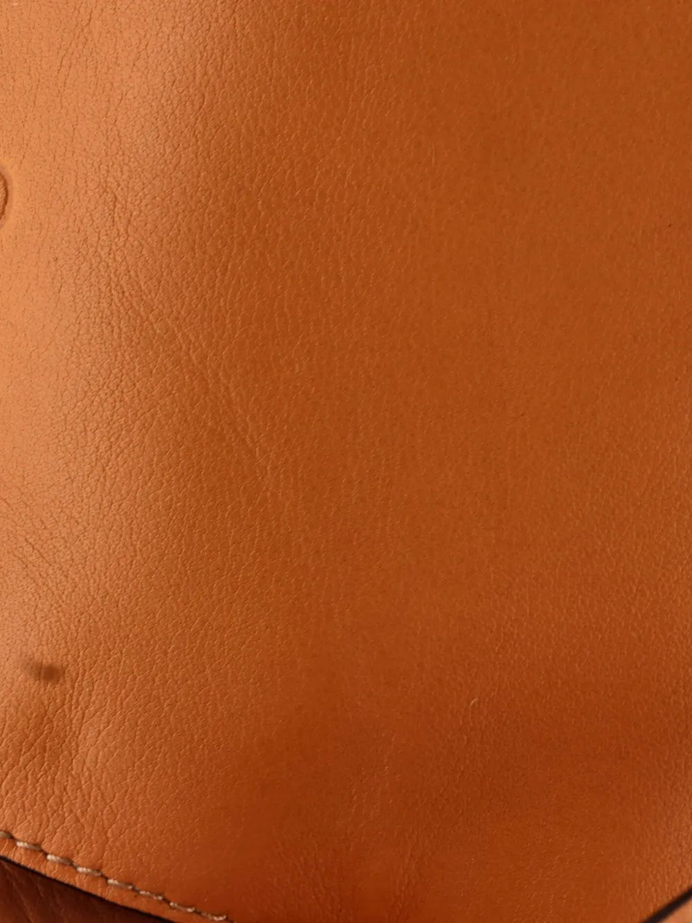 Loewe Pre Owned Puzzle Leather Hobo Bag